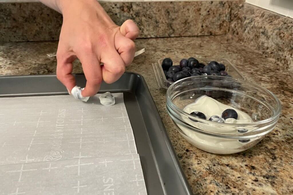 frozen-yogurt-blueberry-bites-4 - Mom to Mom Nutrition