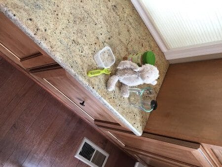 5 Ways to Stop Toddler Food Throwing @katieserbinski