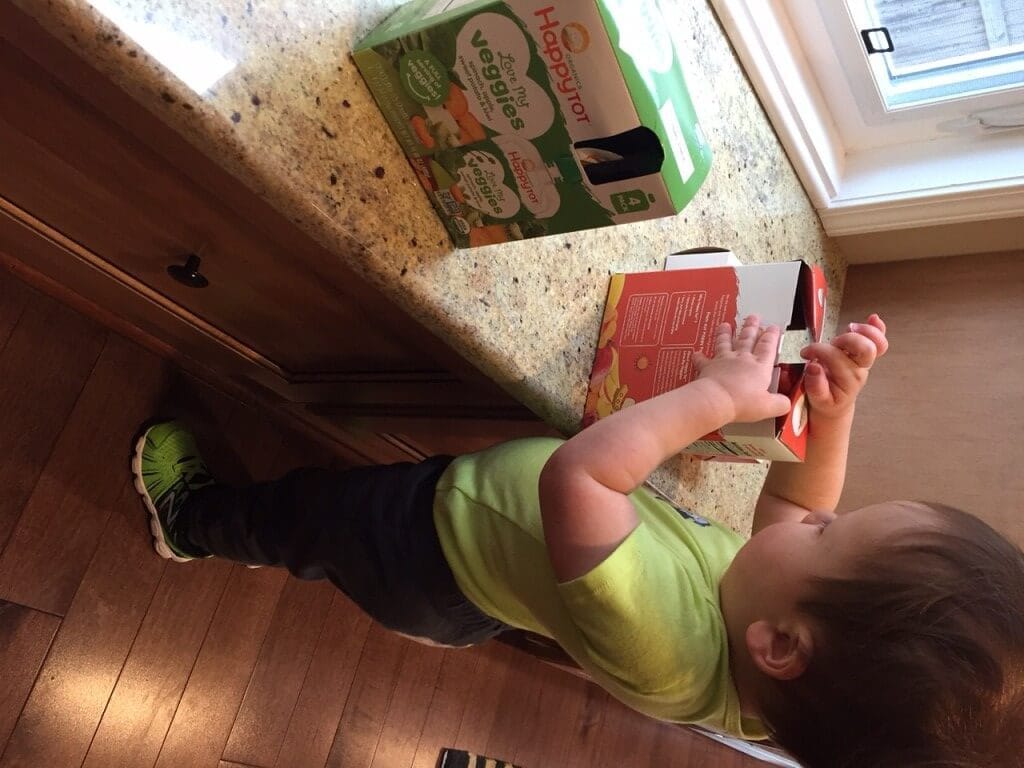IMG_3332 - Mom to Mom Nutrition Fruit and Vegetable Snack Bars @katieserbinski #LoveMyVeggies