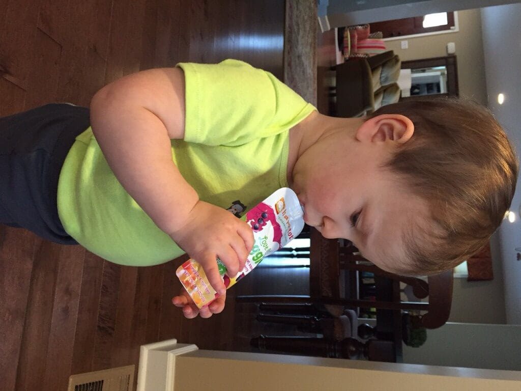 IMG_3334 - Mom to Mom Nutrition Fruit and Vegetable Snack Bars @katieserbinski #LoveMyVeggies