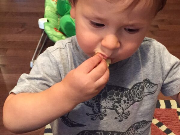 IMG_3970 - Mom to Mom Nutrition Parmesan yellow squash rounds make the perfect kid-friendly snack or side dish. Serve with yogurt or marinara sauce for dipping. You can also use zucchini squash in place of yellow squash.