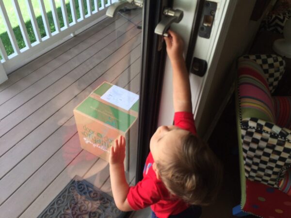 IMG_4538 - Mom to Mom Nutrition Door to Door Organics makes healthy living easy by offering an online grocery service of natural, organic, and local foods.