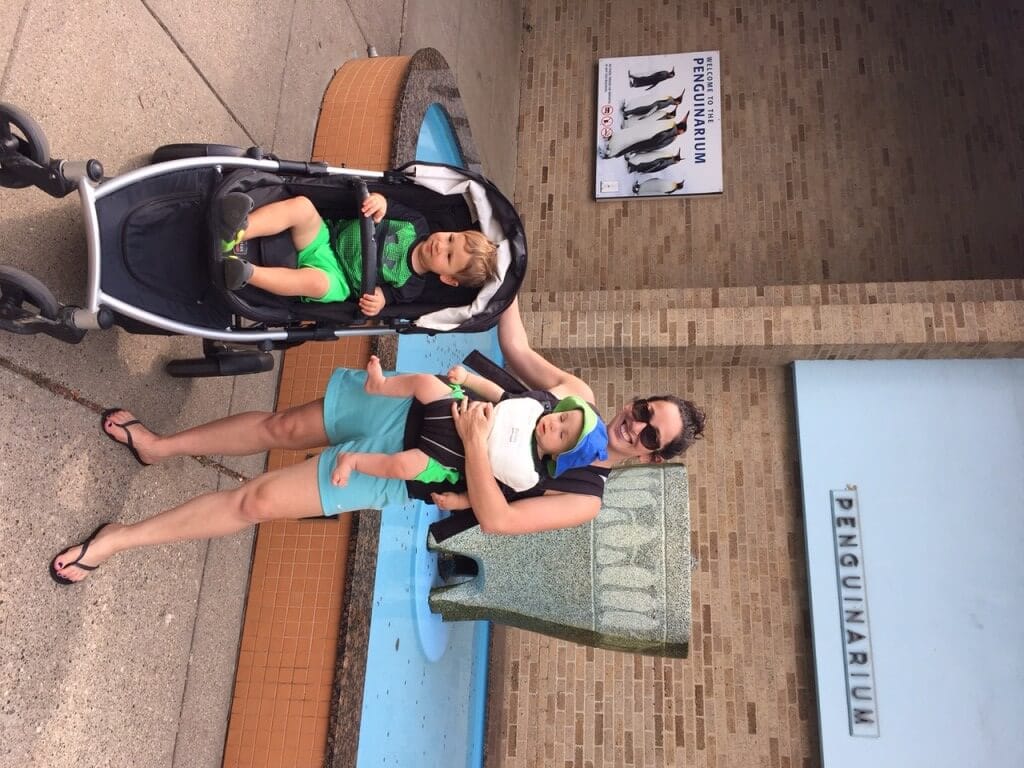 IMG_4621 - Mom to Mom Nutrition Animal themed recipes for kids have been developed by Door to Door Organics and the Detroit Zoo--- with animals and kids in mind!