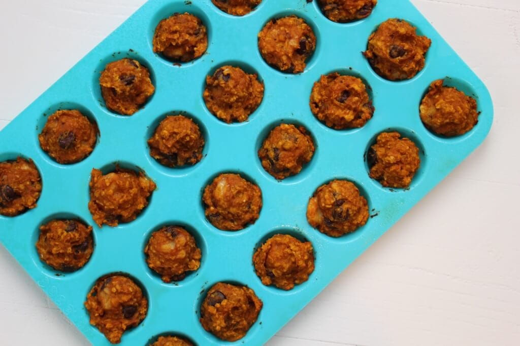 Pumpkin Banana Snack Bites make the perfect after school or post workout treat; made with simple ingredients and full of pumpkin flavor, it will be hard to resist just one! 