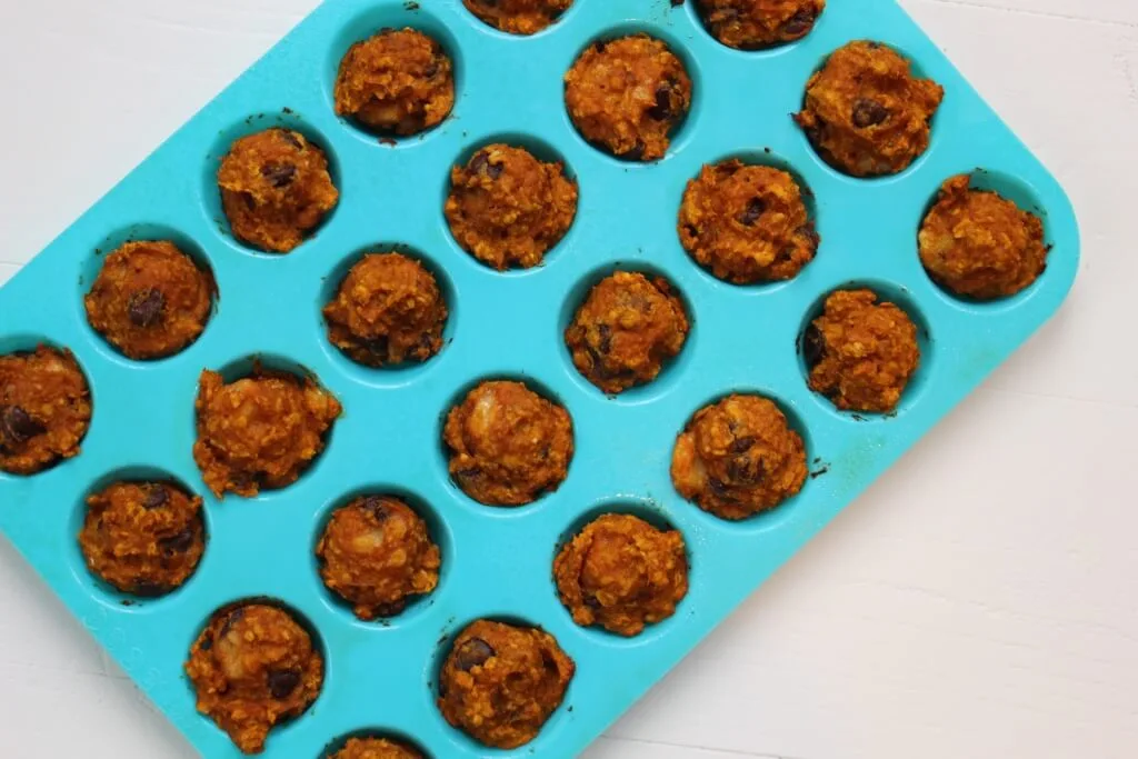 Pumpkin Banana Snack Bites make the perfect after school or post workout treat; made with simple ingredients and full of pumpkin flavor, it will be hard to resist just one!