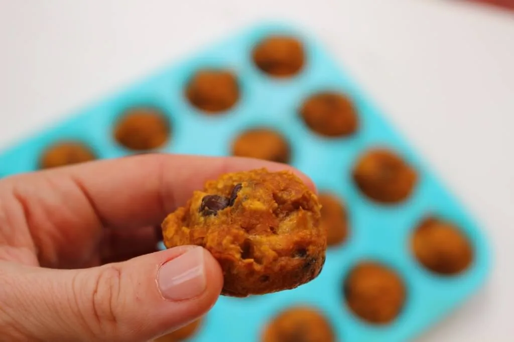 Pumpkin Banana Snack Bites make the perfect after school or post workout treat; made with simple ingredients and full of pumpkin flavor, it will be hard to resist just one!