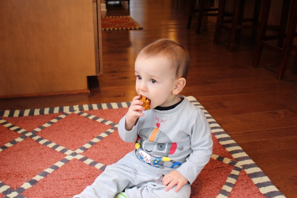 Pumpkin Banana Snack Bites make the perfect after school or post workout treat; made with simple ingredients and full of pumpkin flavor, it will be hard to resist just one! 
