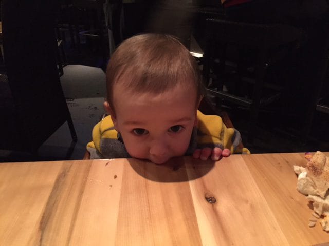 Feeding toddlers is one tough job… but somebody’s gotta do it! Here are some truths to keep your sanity [and sense of humor] when it comes to feeding your little one.