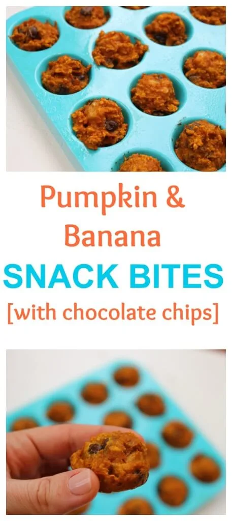 Pumpkin Banana Snack Bites make the perfect after school or post workout treat; made with simple ingredients and full of pumpkin flavor, it will be hard to resist just one!