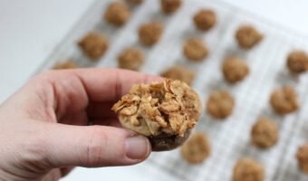 Crunchy Peanut Butter Muffins are filled with smooth peanut butter and topped with a streusel-like oatmeal topping that gives the muffins a little crunch! Perfect for a breakfast on-the-go or after-school snack!