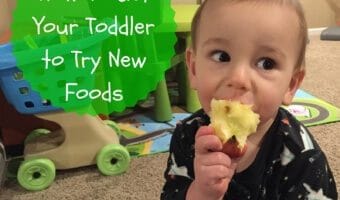 How to Get Your Toddler to Try New Foods Getting your toddler to try new foods is no easy task! But have no fear… there a few tricks you can try to open their mouths and taste buds to new textures and flavors. I didn’t realize the angst and stress that would come with feeding small children. I’ll admit I was prepared for the sleepless nights, the teething, the ear infections, etc. But food? Heck! I love food. Ted loves food. How could we create children that decide they’d like to use food as toys?! The reality is you can’t pick and choose your child’s eating habits. But I’ve quickly learned that there’s small victories in the grand scheme of feeding your picky eater. And that’s getting them to TRY new foods. Try being the keyword here… because in order to get your kids [or husband or oneself] to like a food, they’ve got to try it first! Offer favorites with new foods. This trick is KEY for my boys. And usually [typing while knocking on wood] works when I give them their ultimate favorite food: yogurt! So IF there’s a new food that I’d like them to pick up, sniff, and possibly put to their mouths, I give them their favorite “side” as the familiar food on their plate. Our go-to yogurt for the “familiar trick” is Chobani Tots Greek yogurt pouches. If the boys decide to skip trying the newbie, I’m comforted knowing they are getting a good source of protein and calcium with a little sweetness to satisfy their hunger. Another bonus: these pouches and their flavors are made without artificial sweeteners or preservatives. Something every person or parent can feel good about! Vary your child’s favorite foods. What I really mean by this strategy is not to serve the same food twice in one day, or two days in a row. I “stole” this tip from a feeding expert and it’s worked out well for us. While it might seem like you need to have all kinds of foods stocked in your fridge or pantry, well, you are right. That’s doesn’t mean you have to buy a lot of everything though. A green bell pepper in toddler serving size can last a few days. But once you try this strategy for a week or two you’ll get into a rhythm and routine when it comes to buying those groceries. You can follow my weekly food prep [including these “new foods” on Instagram!]. Model healthy eating behavior for your children. Because I’m not much of a breakfast eater and my boys aren’t much of dinner eaters, I find the best time for me to model healthy eating behavior is during snack time and lunch. From fresh fruits and vegetables to grilled sandwiches and melts, I’m always trying to change up our lunch and snack routine with new, healthy foods. And that includes new flavors and textures in our favorites, like Chobani Tots Greek yogurt AND the many varieties in their classic product line. With 25% less sugar and twice as much protein than other kids’ yogurts, I don’t mind the scuffle that ensues when the boys basically fight over who gets the last box of pouches! Let them get hungry. This is a hard one. Because sometimes it’s just easy giving your kids something to munch on while you cook dinner or when you are at the doctor or church to prevent a meltdown. But if you can find another alternative [yes, we turn on the TV BEFORE dinner so prevents pantry perusing] then try to hold them off. A hungrier toddler is more likely to try new foods! Start small with new textures and flavors. Here’s an example that recently worked with Joey: While he gobbles up the Chobani Kids Greek yogurt Apple flavor, he’s not much of a fan of the raw deal, meaning a raw apple with skin ON. Realizing his love for this yogurt flavor and a little crunch in yogurt parfait’s… I decided to combine the two! I chopped up a green apple, added it to the yogurt + some granola, and voila! He had an apple yogurt parfait. We shared the parfait together… and of course little bro gobbled it up. But the moral of this story [or tip] is to start small with new flavors and textures--- and perhaps serve it in a way that’s new and exciting--- or familiar, like in my first tip! So there you have it! Some tips and tricks that have helped expand my toddler’s palates beyond just Goldfish. Seriously… they could live off those things! Since this isn’t my first rodeo feeding toddlers, I have a few other resources that might interest you: Tell me: What strategies do you use at home to get your toddlers [or any child] to try new foods?!