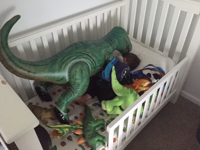 You know who else comes pitter-pattering into our room every morning? A family of dinosaurs that Joey sleeps with every night! 