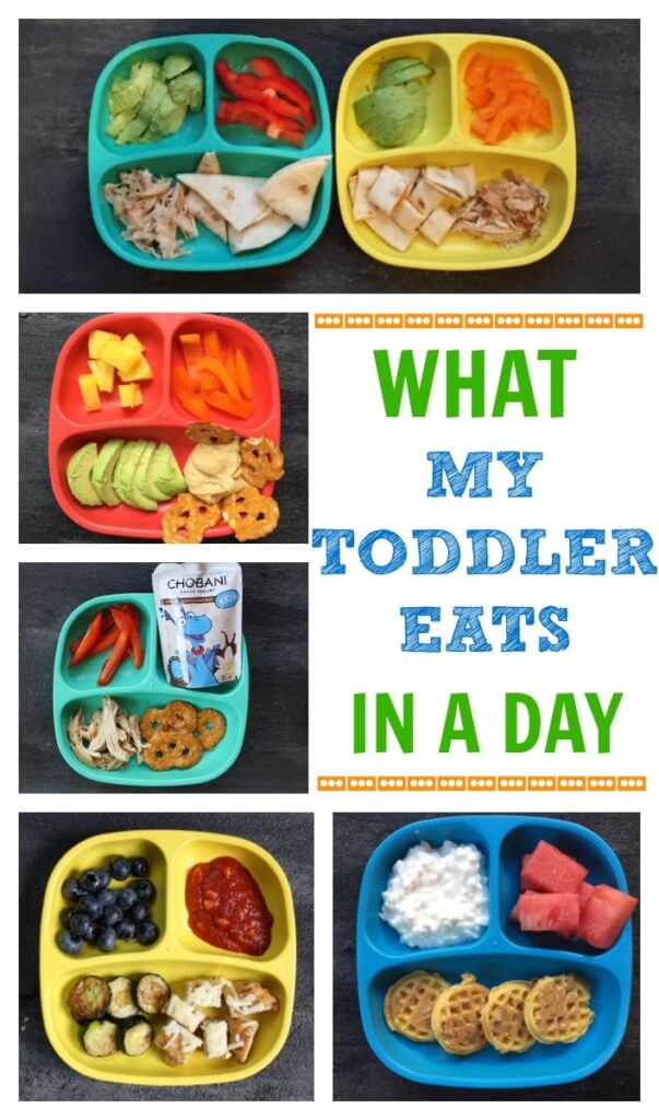 If you’ve had the luxury of making meals for a toddler you’ll quickly appreciate the one constant that comes from creating a toddler feeding routine. Here’s a look at what my toddler eats in a day- from breakfast to dinner and snacks included!