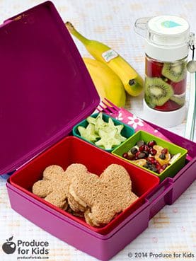 Butterfly-Bento-Box-sticker