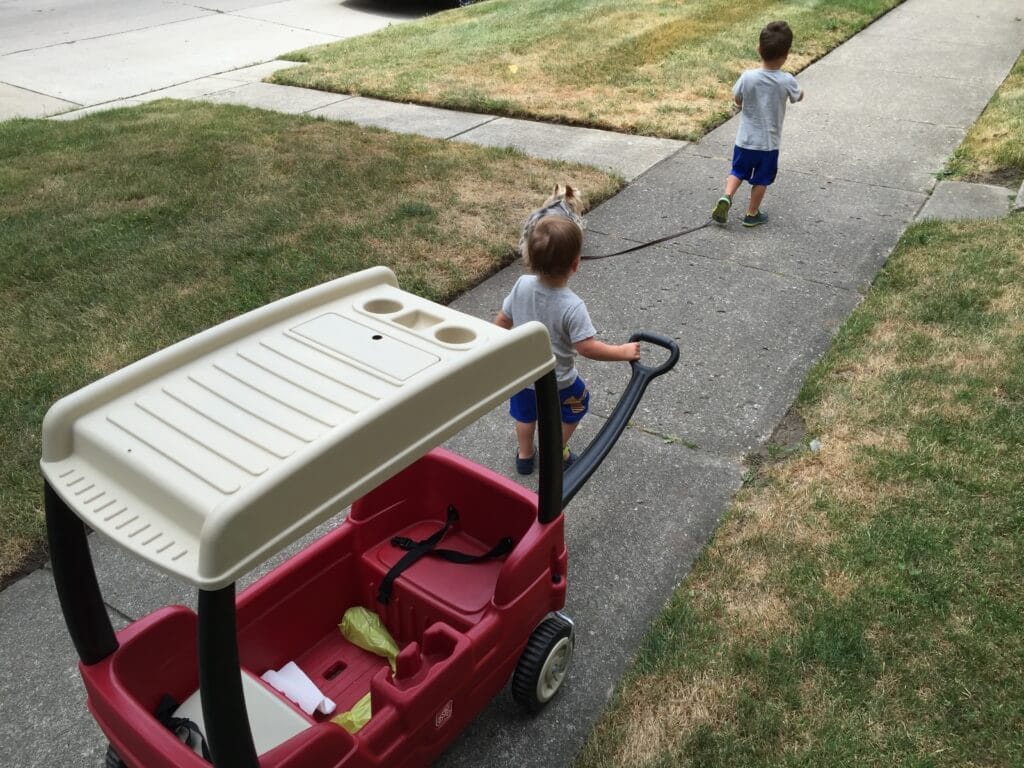 IMG_0120 - Mom to Mom Nutrition We also have a larger wagon that no one wants to ride in! They'd rather pull it themselves. Chalk it up to extra activity... right?!
