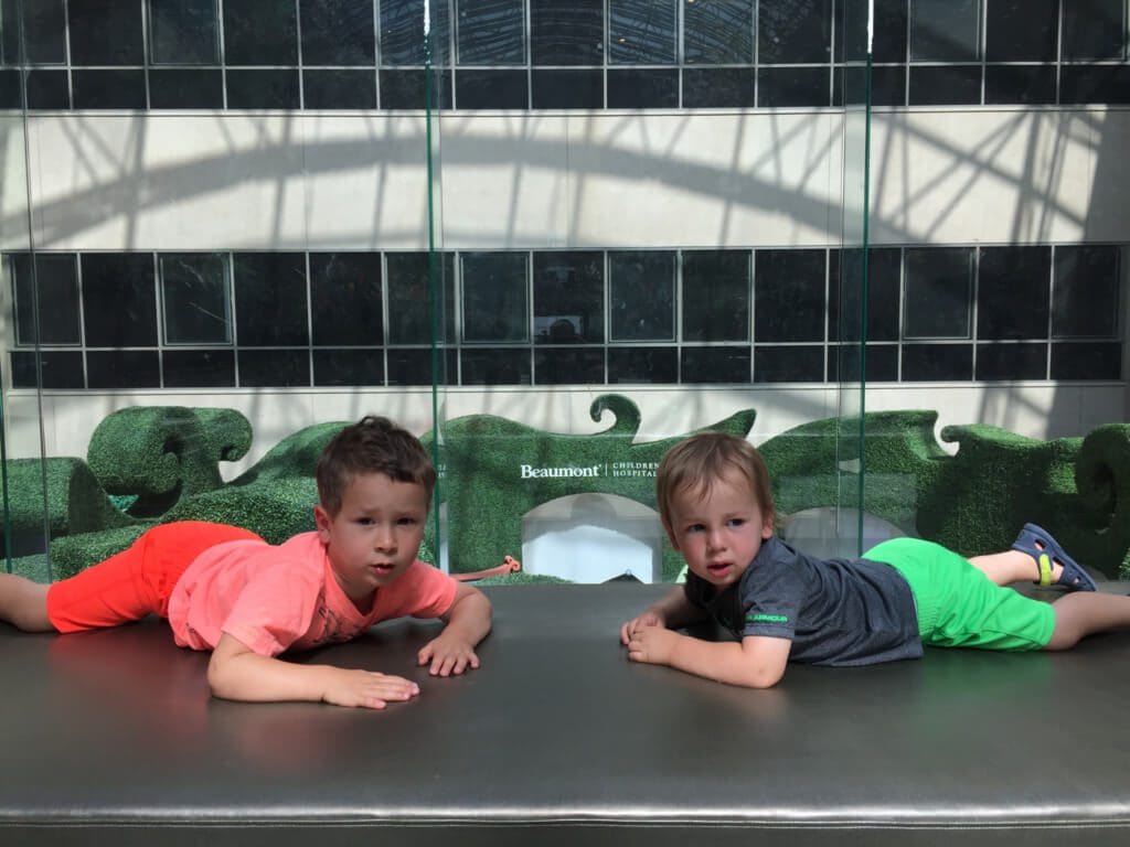 IMG_1097 - Mom to Mom Nutrition I was also asked by many how the boys greeted their new sister in the hospital. Let's just say they were more impressed with the indoor garden than spending time with her! But that immediately changed as soon as we brought Lily home! See below.