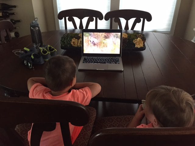 IMG_6895 - Mom to Mom Nutrition Latest post breakfast activity: Rhino videos on YouTube! The San Diego Zoo has a great series of videos online for kids...