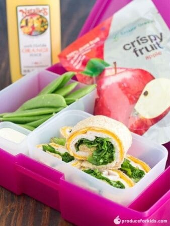 Turkey-Hummus-Pinwheels-with-Natalies-LR-WM-600x800