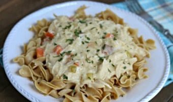 Slow Cooker Creamy Chicken and Noodles tastes like everyone's favorite chicken noodle soup but in creamy, melt in your mouth form!