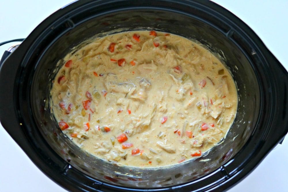 Slow Cooker Creamy Chicken and Noodles tastes like everyone's favorite chicken noodle soup but in creamy, melt in your mouth form! 