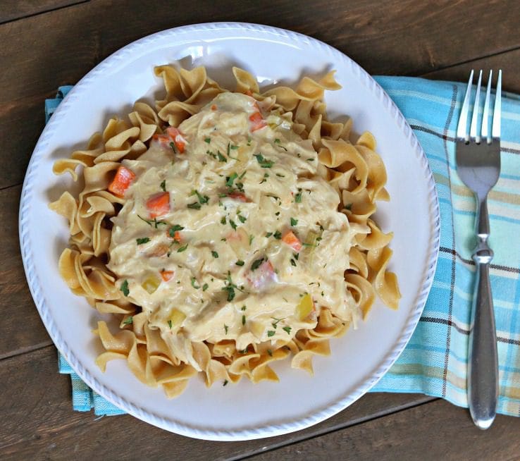 Slow Cooker Creamy Chicken and Noodles tastes like everyone's favorite chicken noodle soup but in creamy, melt in your mouth form! 