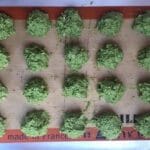 Hidden Veggie Meatballs are packed with healthy ingredients and make for a delicious lunch or dinner. Finger food, over pasta, or in a meatball sandwich, these meatballs are perfect for the whole family!