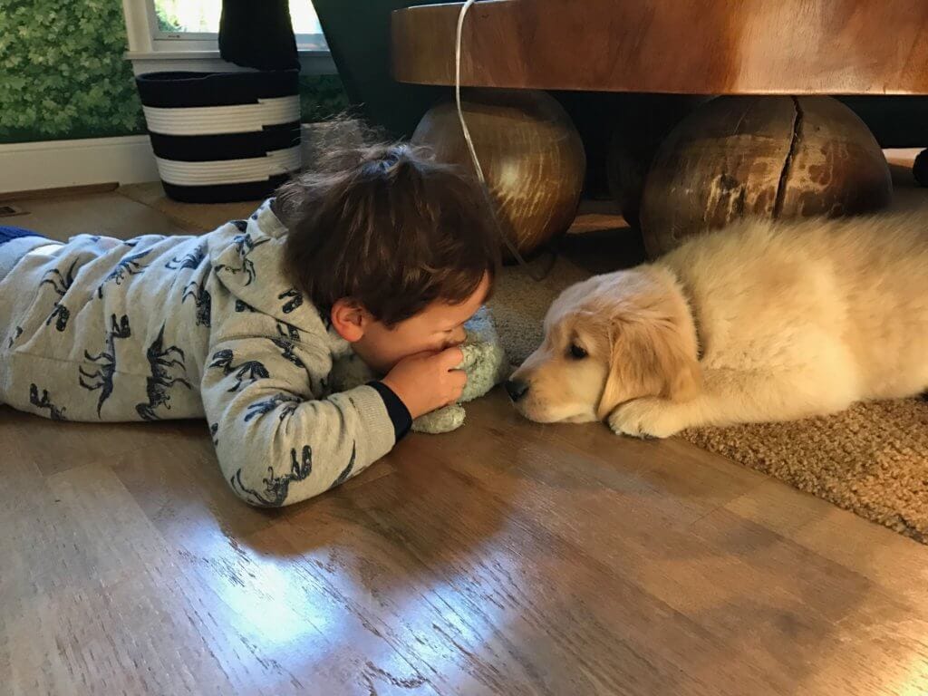 Puppies also help... but they can also add to the noise and over-stimulation.. or so I've experienced with my parent's new puppy! 