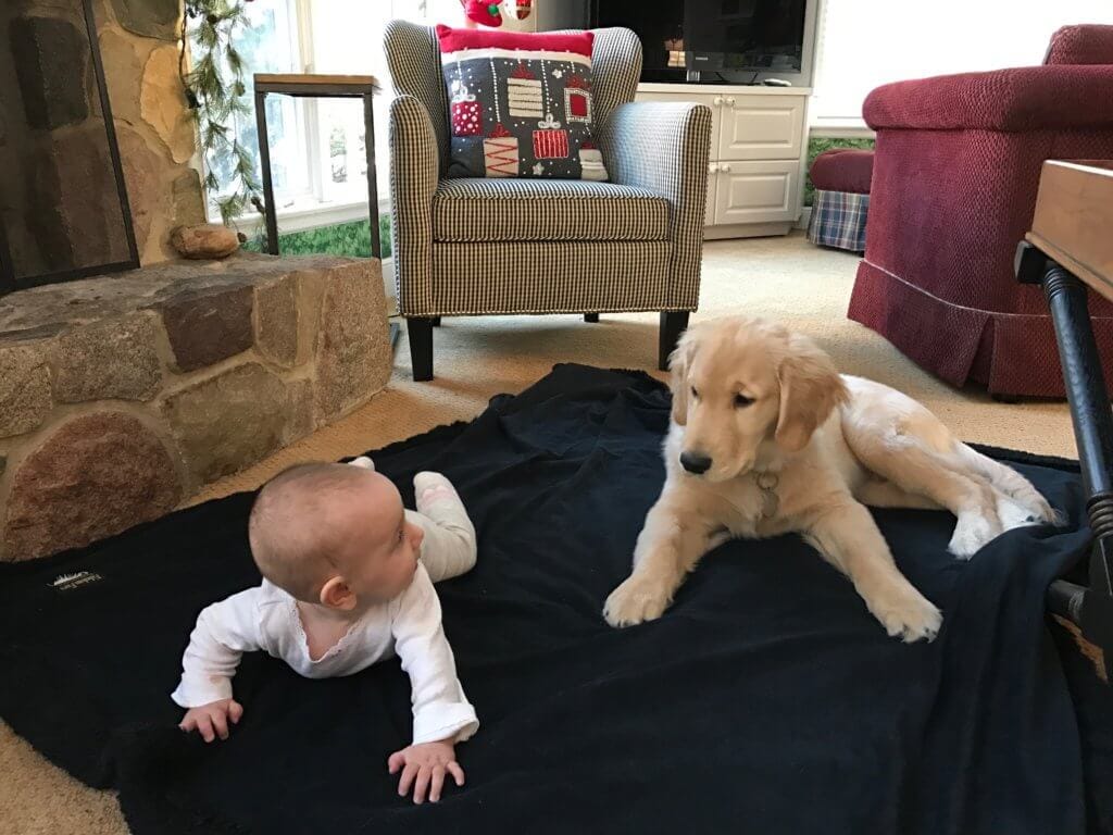 D615FDA3-A04F-4E17-973A-BBAC219E86AF - Mom to Mom Nutrition