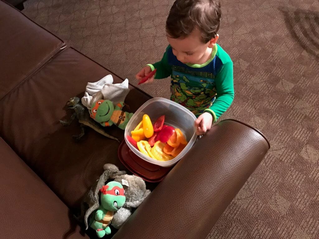 Planning your family's next vacation to an indoor waterpark? Here are some tips that have helped make travel to a waterpark with toddlers that much easier, and enjoyable! 