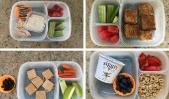 These preschool lunch ideas will inspire you to change-up your lunch-packing routine and get your child exposed to a variety of new and healthy foods!
