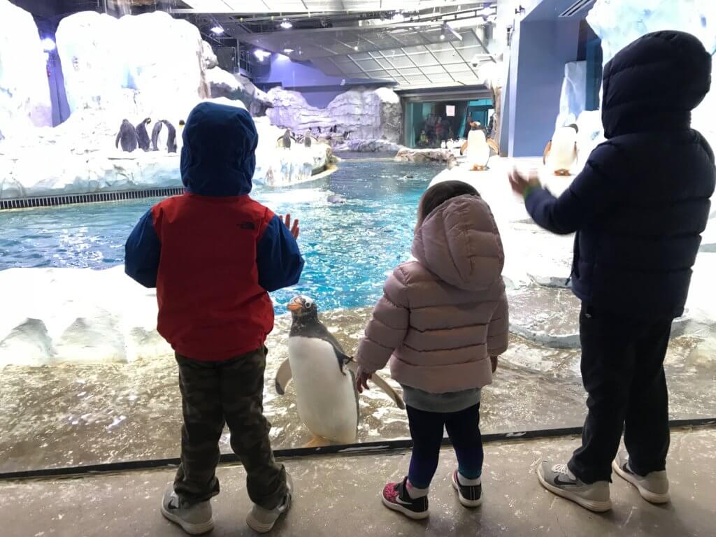 IMG_3354-1 - Mom to Mom Nutrition