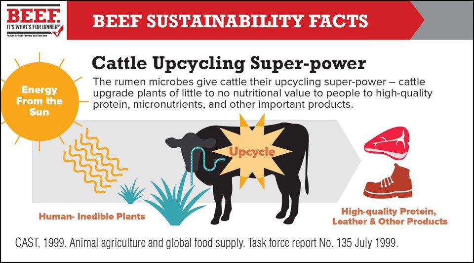 sustainable-diet-1 - Mom to Mom Nutrition