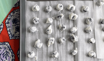 These frozen yogurt-covered blueberries are a nutritious treat made with just two ingredients. The best part? They appeal to the whole family!