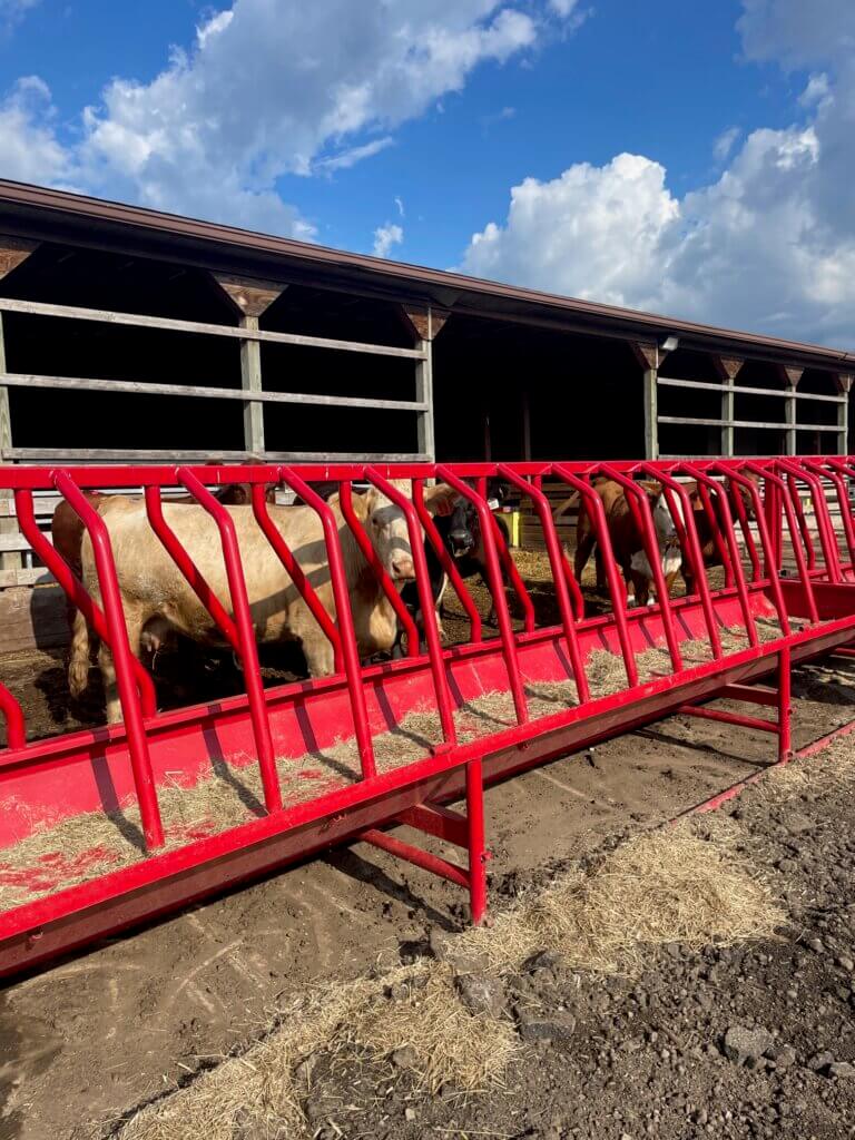 IMG_3525 - Mom to Mom Nutrition