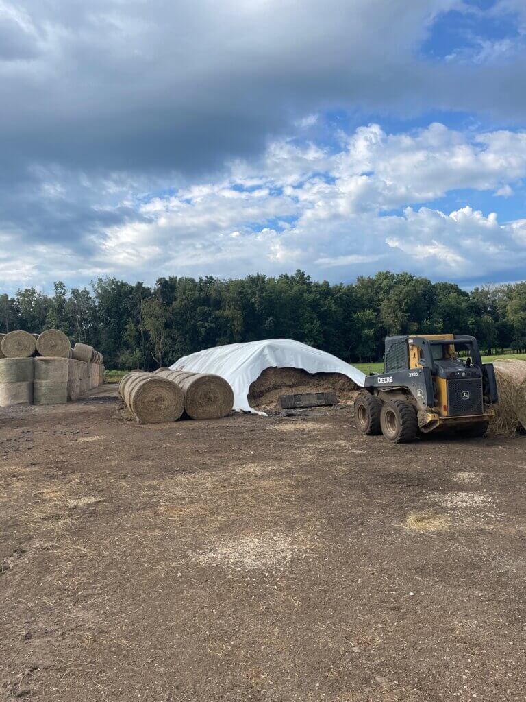 IMG_3533 - Mom to Mom Nutrition