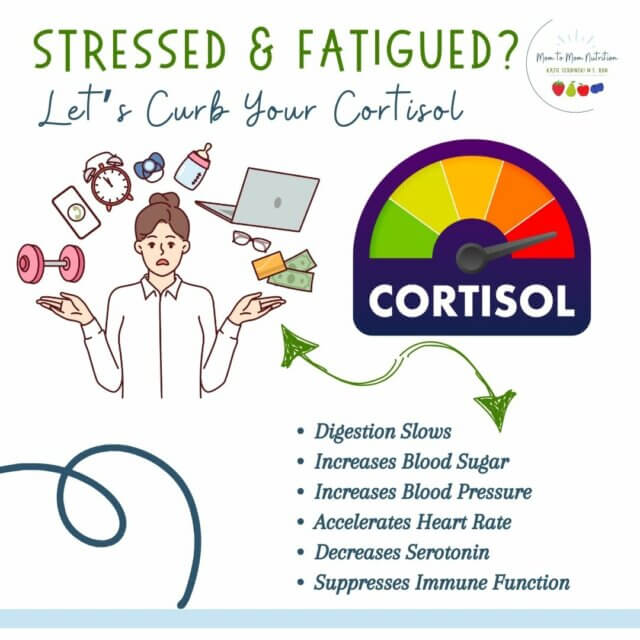 Cortisol 101 - Mom to Mom Nutrition Cortisol is the body's stress hormone. Learn more about how this hormone impacts your body, particularly during high stress periods.