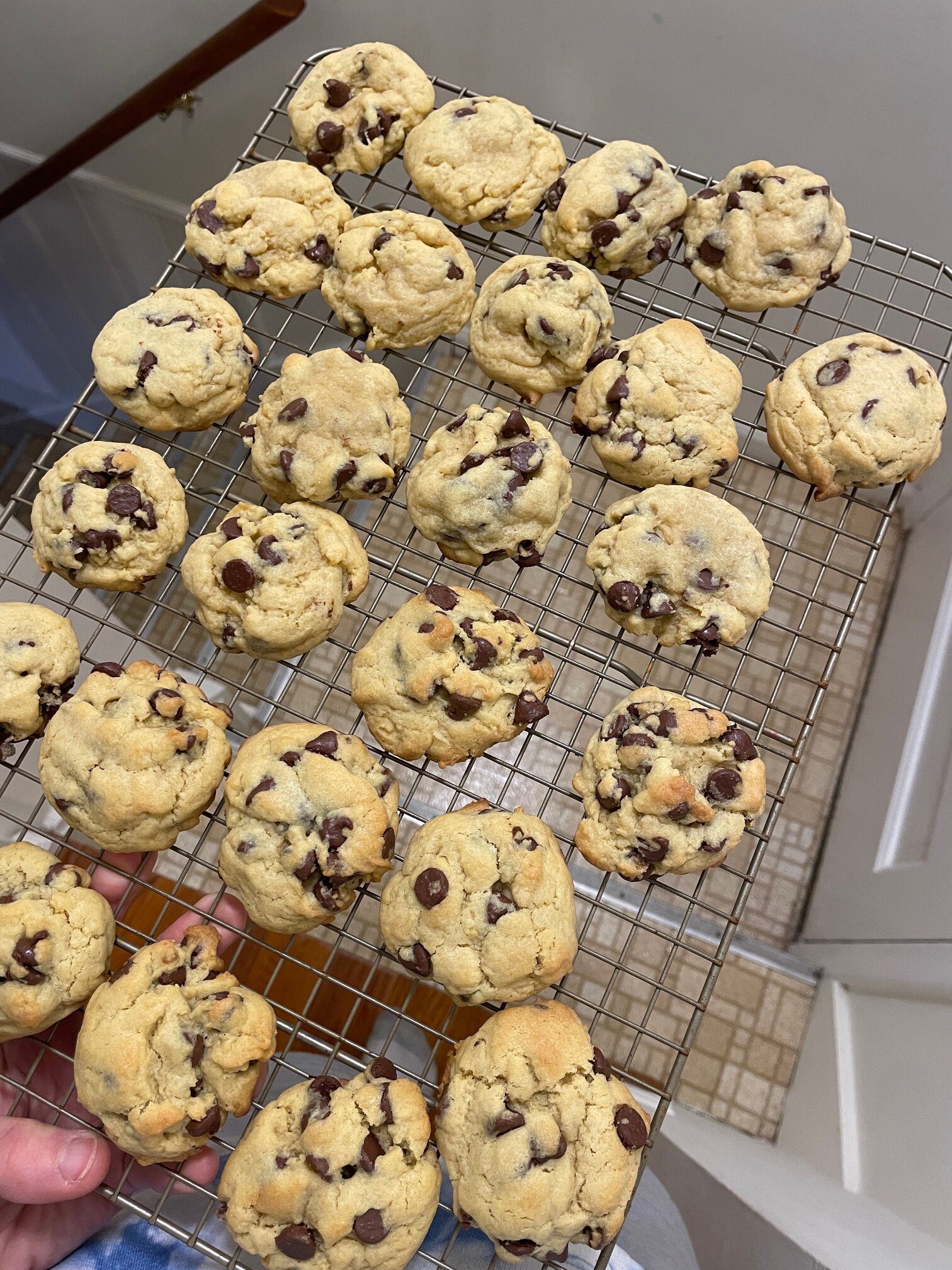 IMG_6226 - Mom to Mom Nutrition