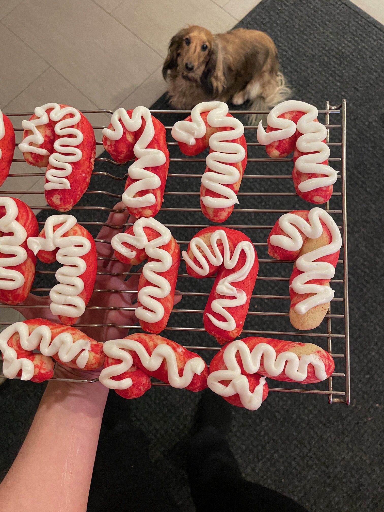 IMG_6543 - Mom to Mom Nutrition