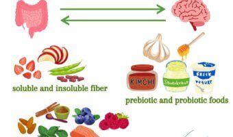 The gut-brain connection might sound like complex science, but as a busy mom, understanding this powerful relationship could be the key to transforming your family's health.
