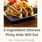 Need quick kid-friendly dinners? These 10 picky-eater-friendly 3-ingredient meals are fast, realistic, and ready in about 20 minutes—perfect for busy nights.